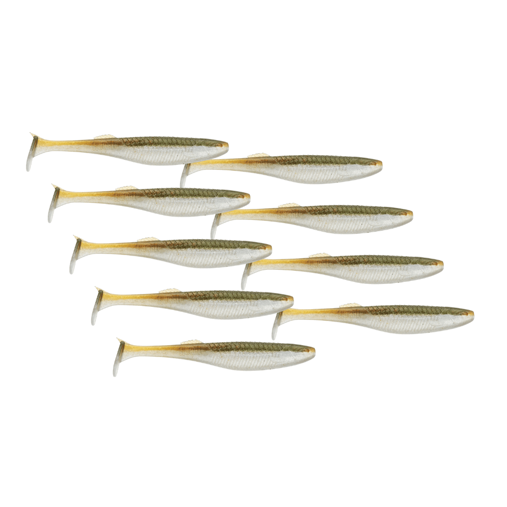 Tier, Fische, Hering, Leben im Meer, Sardine