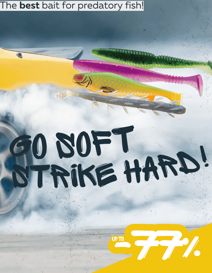 Werbung, Plakat, Insekt, Köder zum Angeln, Fische