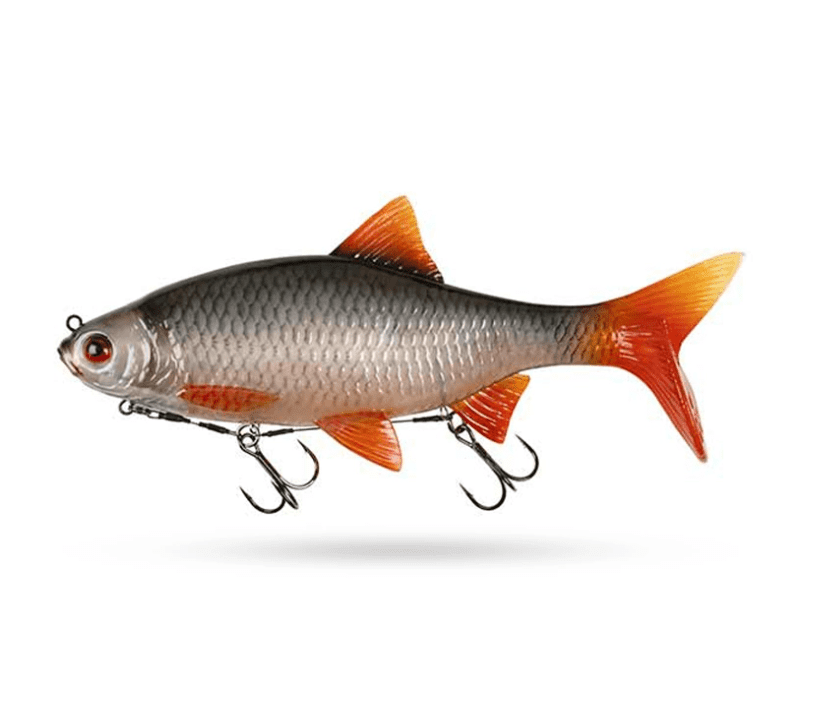 Tier, Fische, Leben im Meer