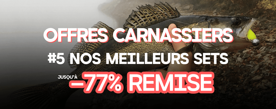 Tier, Leben im Meer, Fische, Barsch