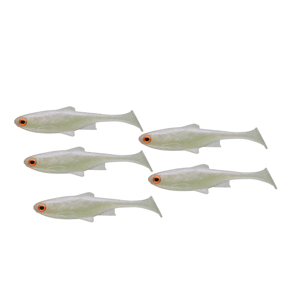 Tier, Fische, Leben im Meer, Hering, Meerbarbenfisch