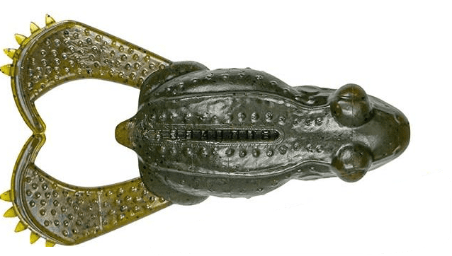 Krokodil, Kieferkappe, Zähne, Gummi, Grün