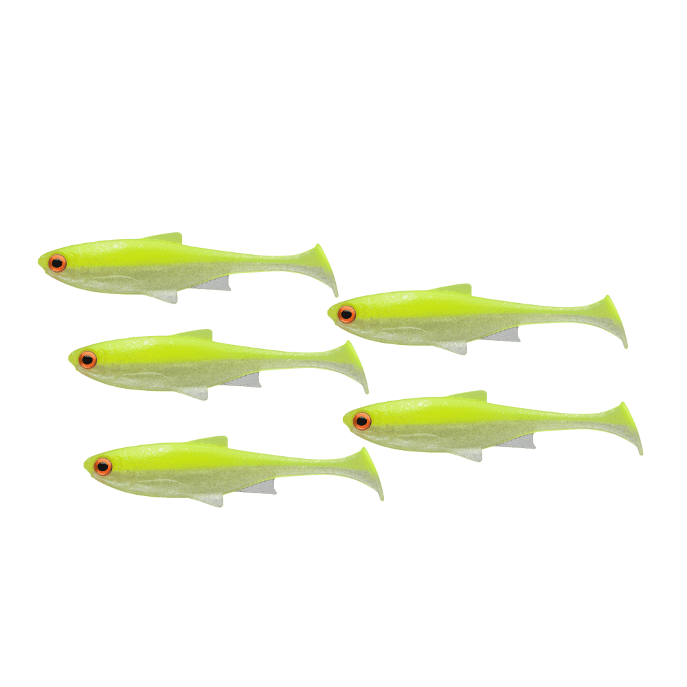 Fische, Leben im Meer, Aquatisch, Wasser, Hering