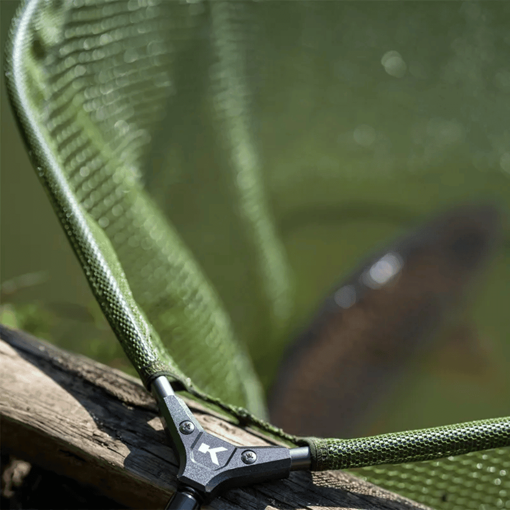 Fischen, Wasser, Reptil, Schlange, Mobiliar