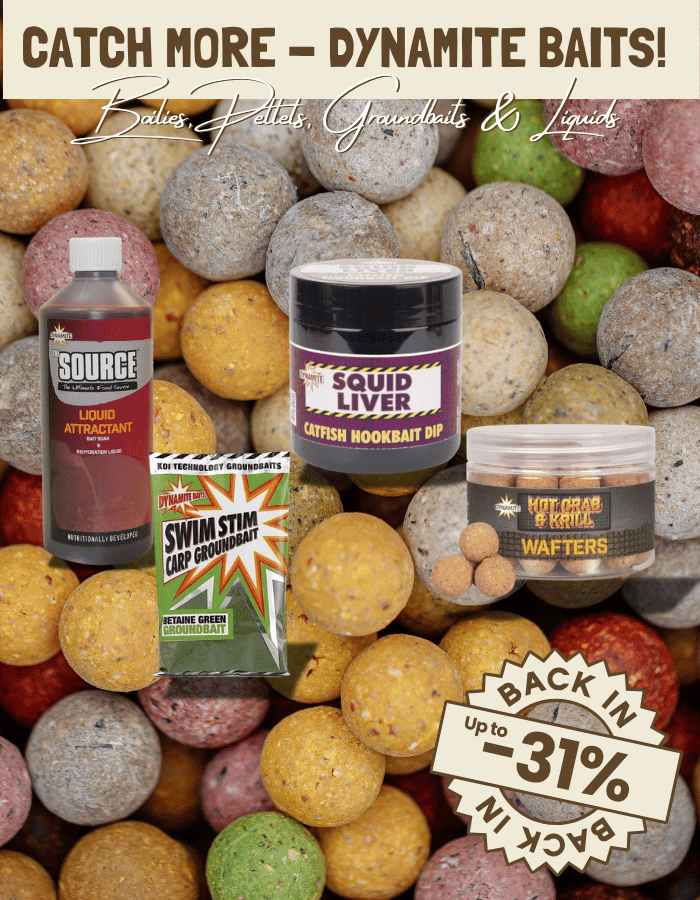 Köder, Angeln, Haken, Köderpulver, Boilies