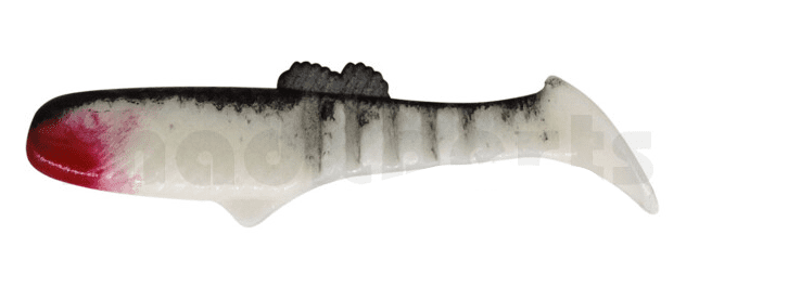 Tier, Leben im Meer, Fische