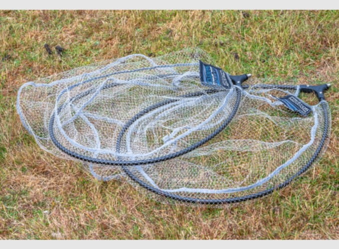 Fischen, Wasser, Gras, Pflanze, Mobiliar