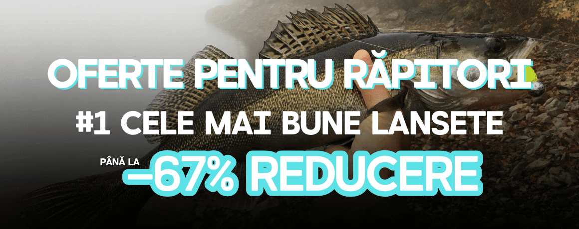 Tier, Leben im Meer, Fische, Barsch