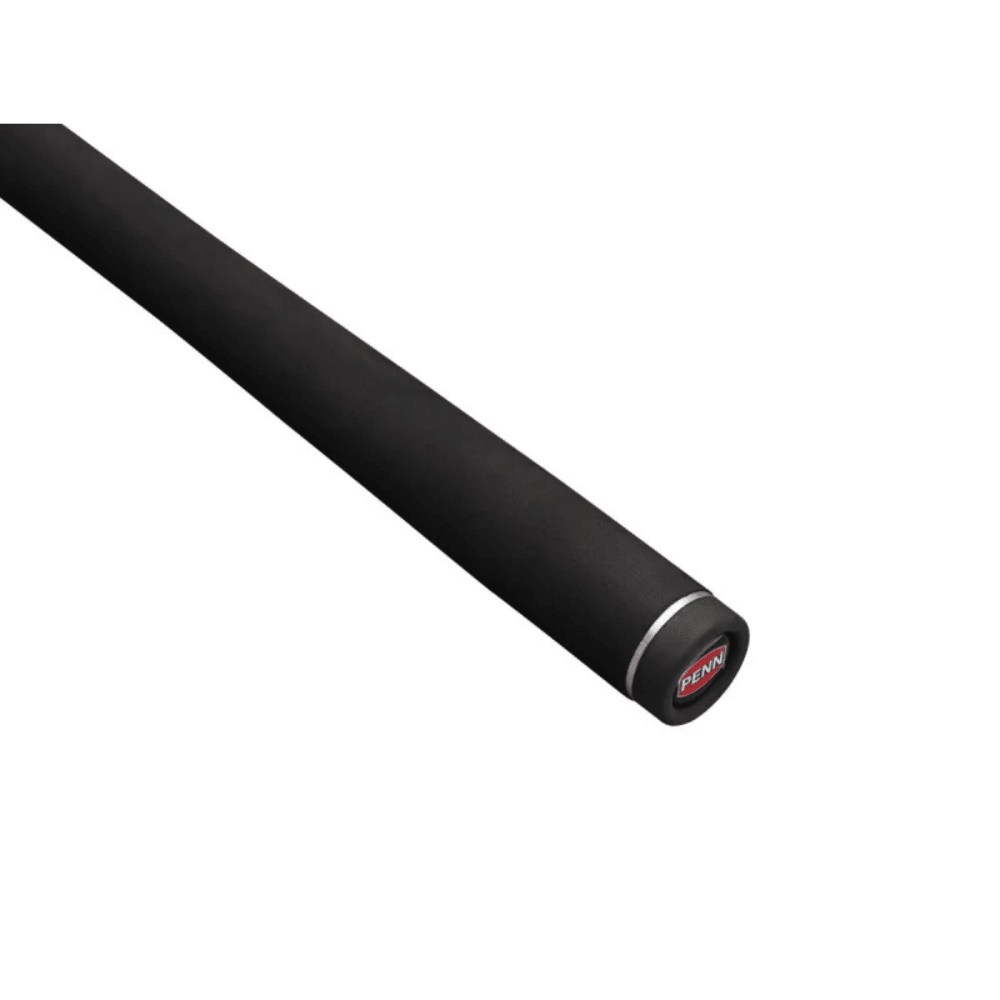 Elektrisches Gerät, Mikrophon