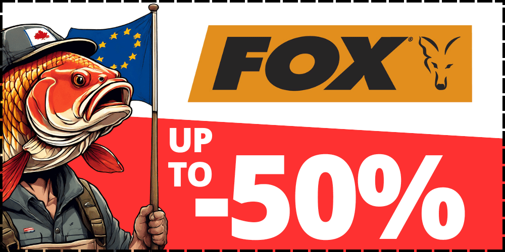 Buch, Comics, Veröffentlichung, Person