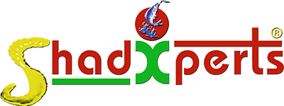 shad-experts