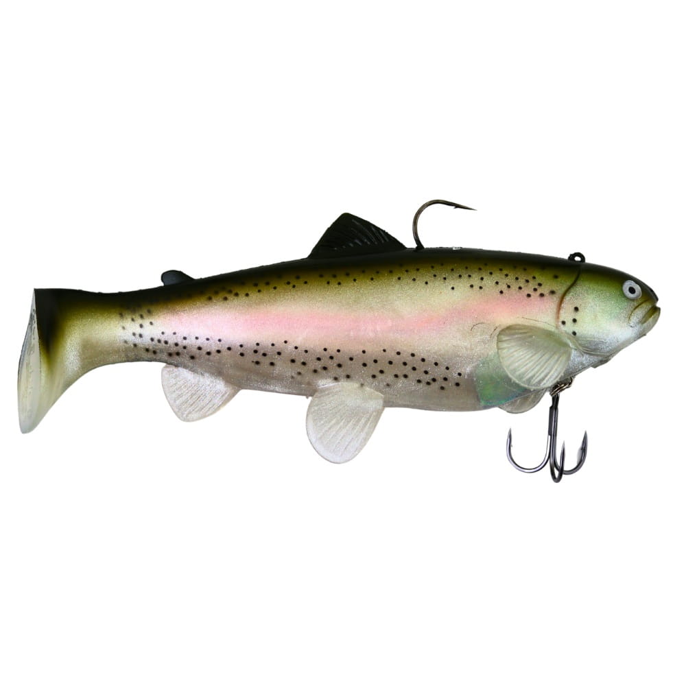 Castaic Swimbait Trout 2.0 25cm (10") Sinking Ghost Rainbow Trout Tier, Fische, Leben im Meer, Forelle