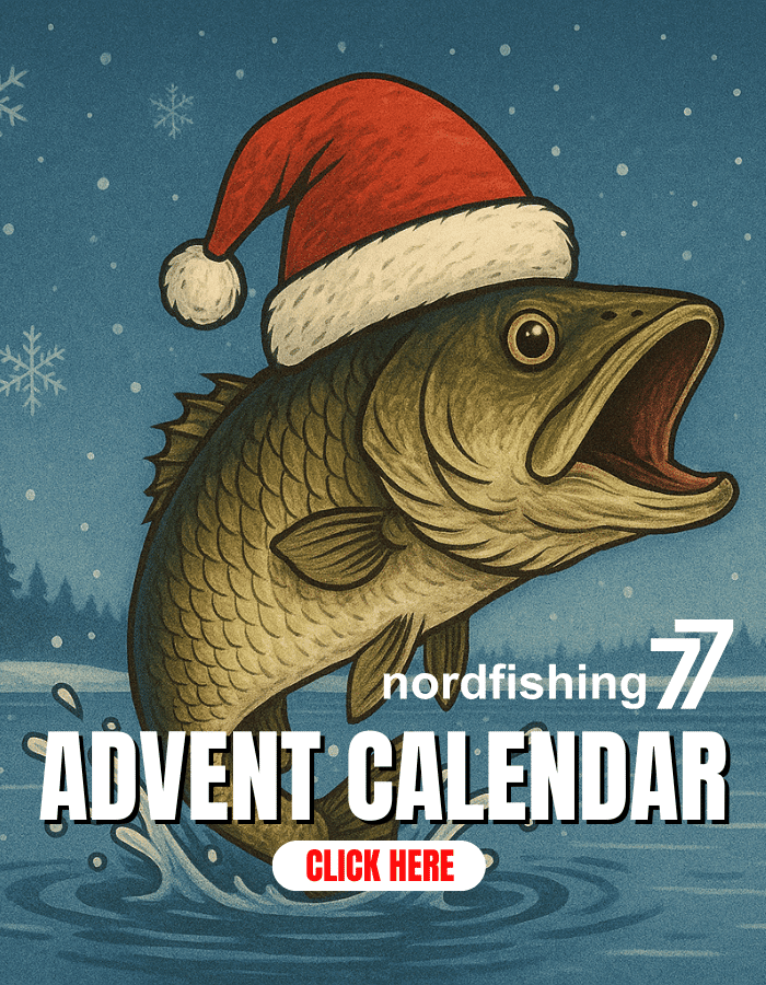 Werbung, Fischen, Wasser, Fische, Leben im Meer