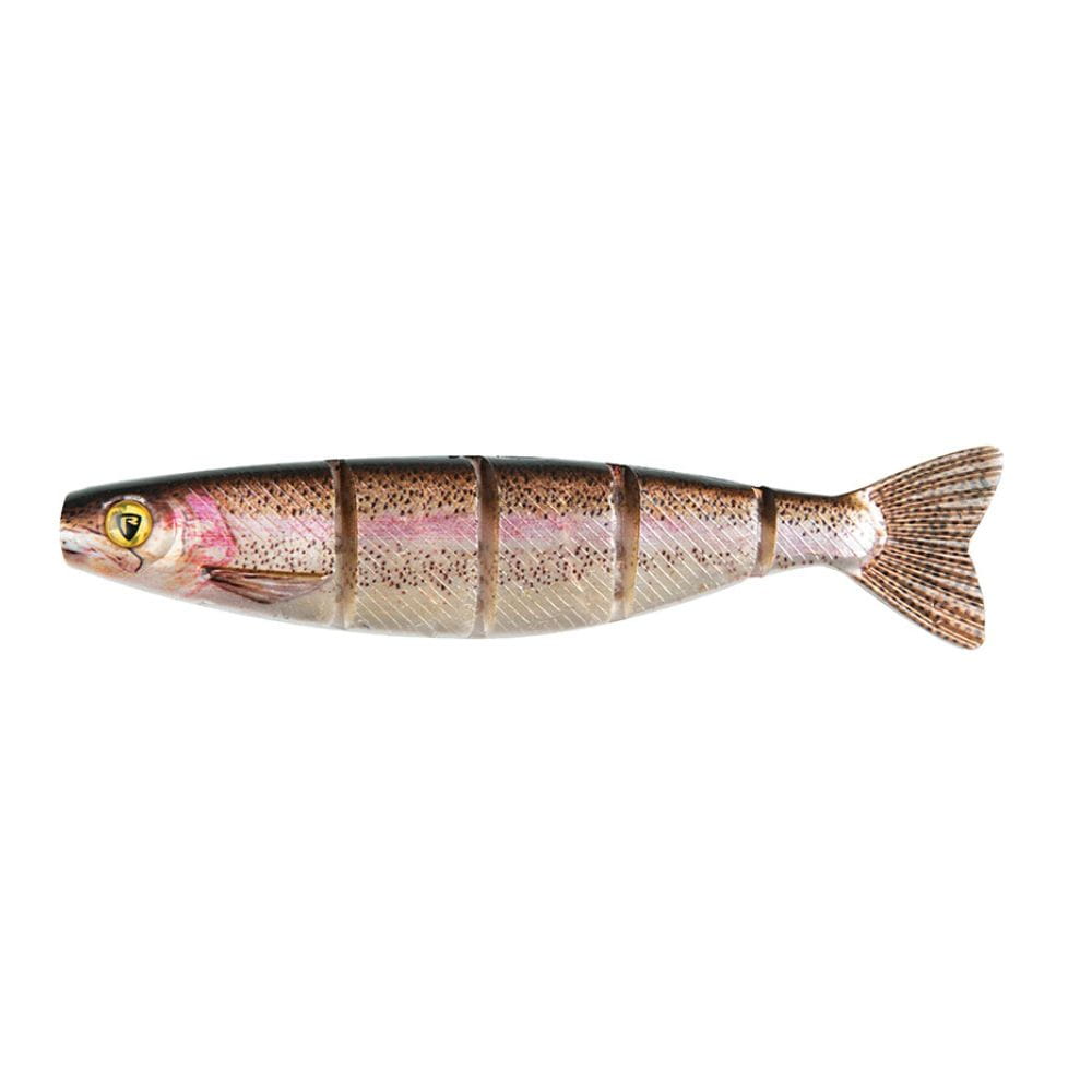 Tier, Fische, Leben im Meer, Hering, Forelle