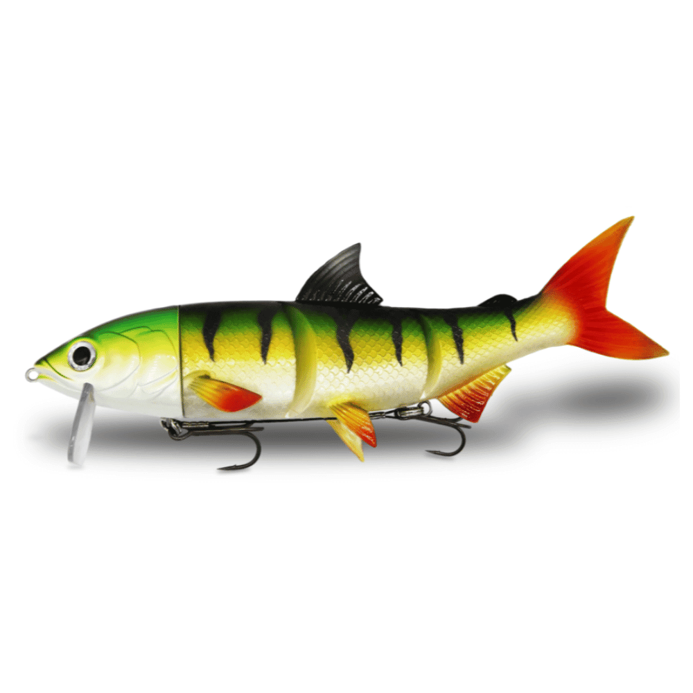Tier, Fische, Leben im Meer