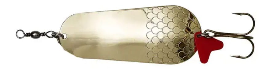 DAM Effzett Standard Spoon 16g Gold Elektronik, Hardware