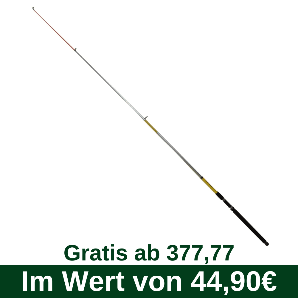 D63 Gratis vanaf 377,77 - WFT Quality Island Mutant Tele 270cm 100-200g (3D-B136-270) Fischen, Draußen, Wasser, Angler, Person