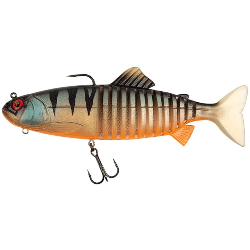 Tier, Fische, Leben im Meer