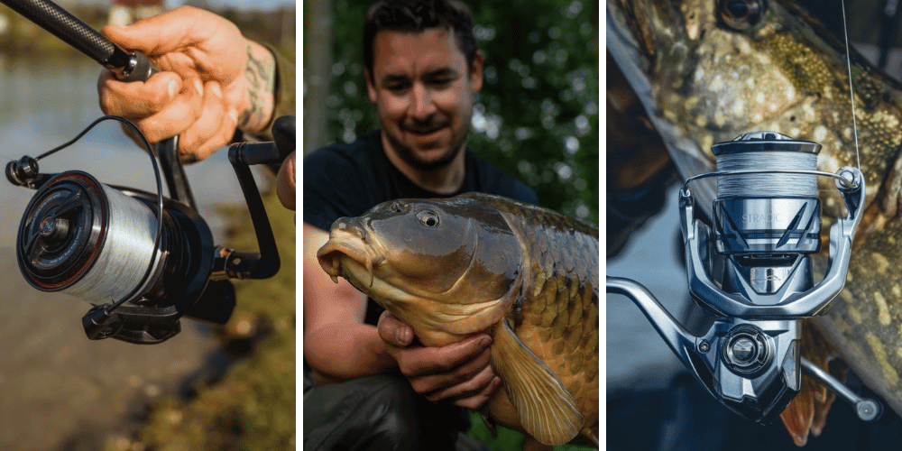 Erwachsener, Männlich, Mann, Person, Photographie