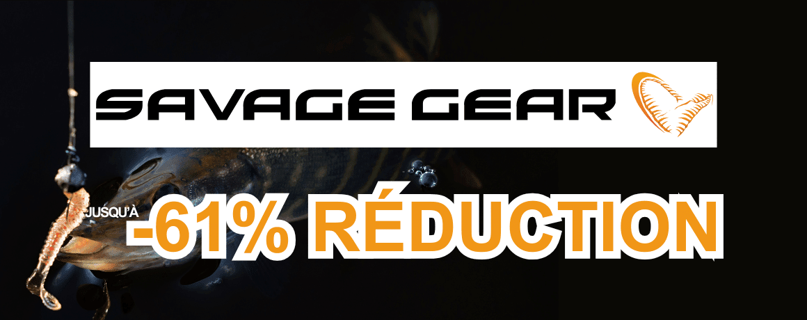 Tier, Leben im Meer, Fische