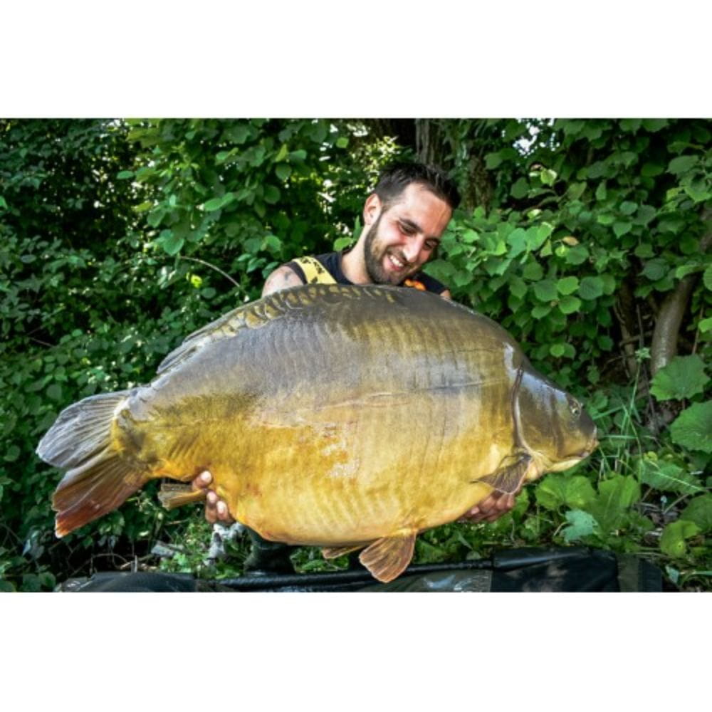 Zadravec Baits Dream Fluo Pop Up Garlic 16 mm 60g Zadravec Baits Dream Fluo Pop Up Garlic 16 mm 60g