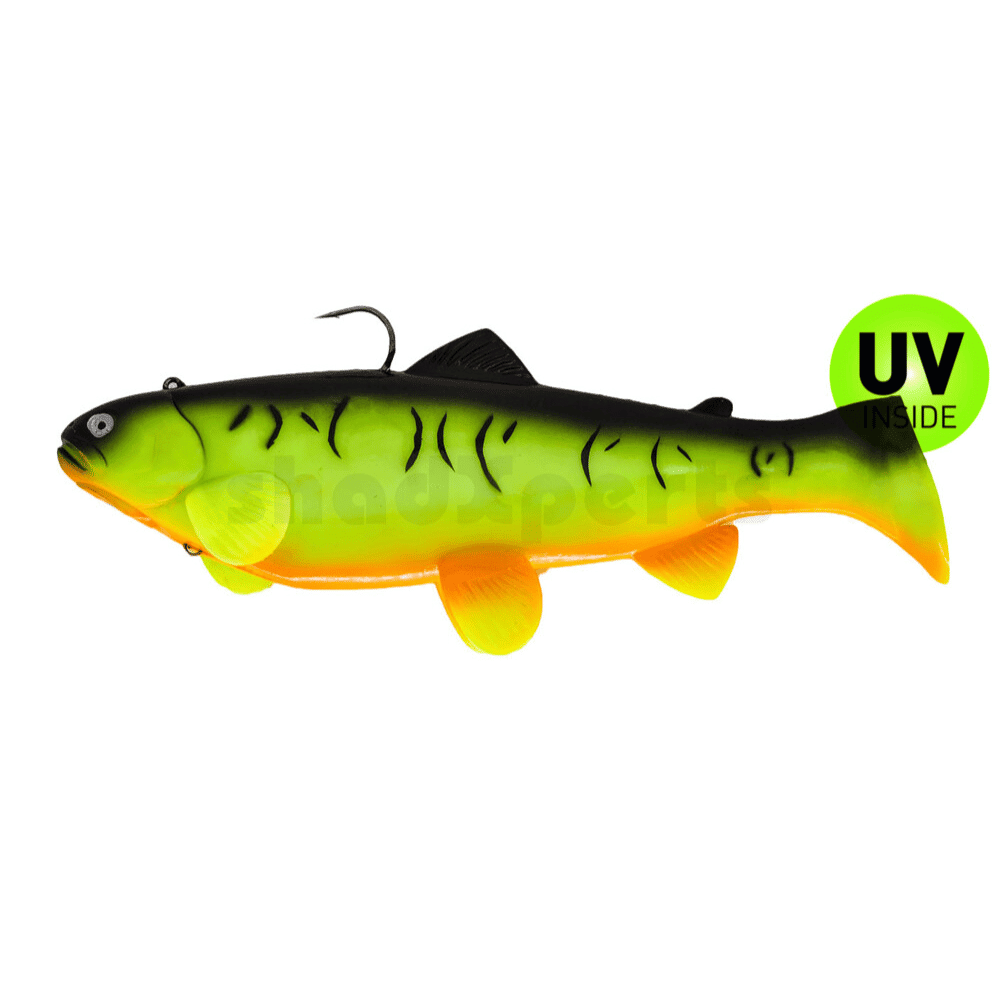 Tier, Fische, Leben im Meer