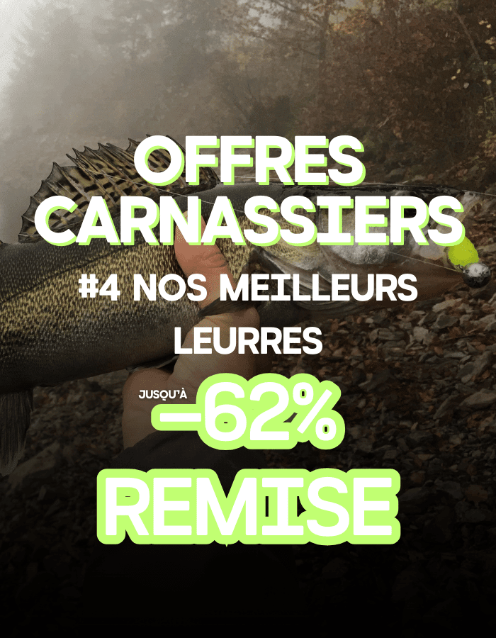 Person, Tier, Fische, Leben im Meer