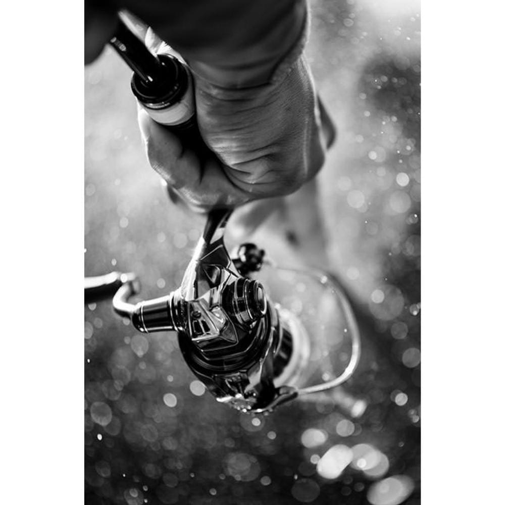 Shimano-Stella-C5000XG-12