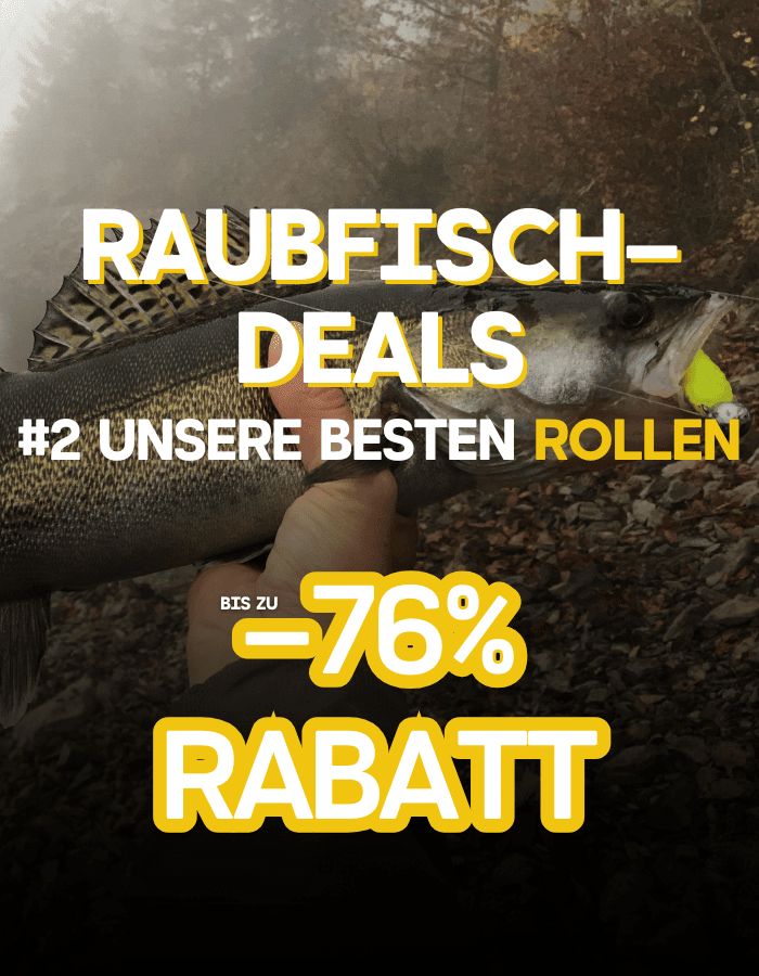 Tier, Leben im Meer, Fische