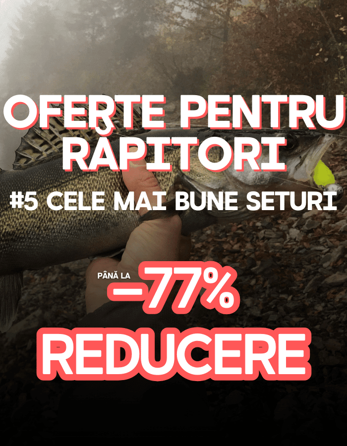 Tier, Leben im Meer, Fische