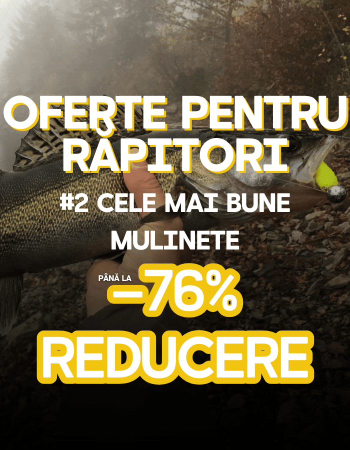 Werbung, Plakat, Tier, Fische, Leben im Meer