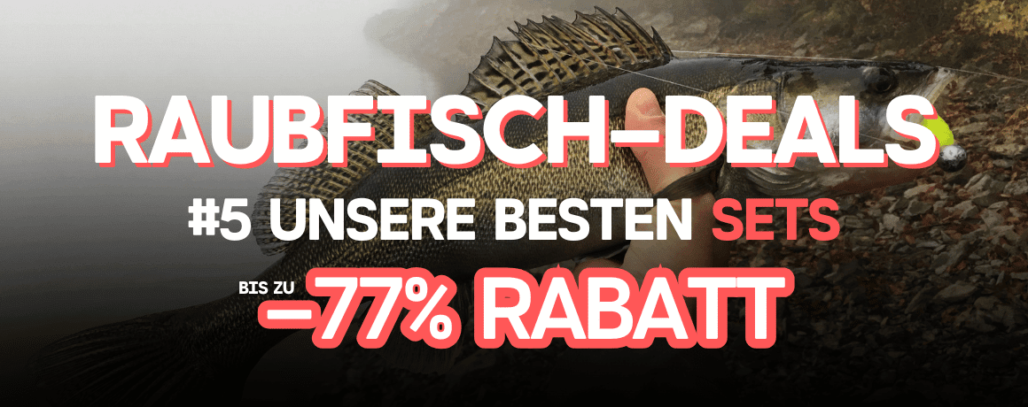 Tier, Leben im Meer, Fische, Barsch
