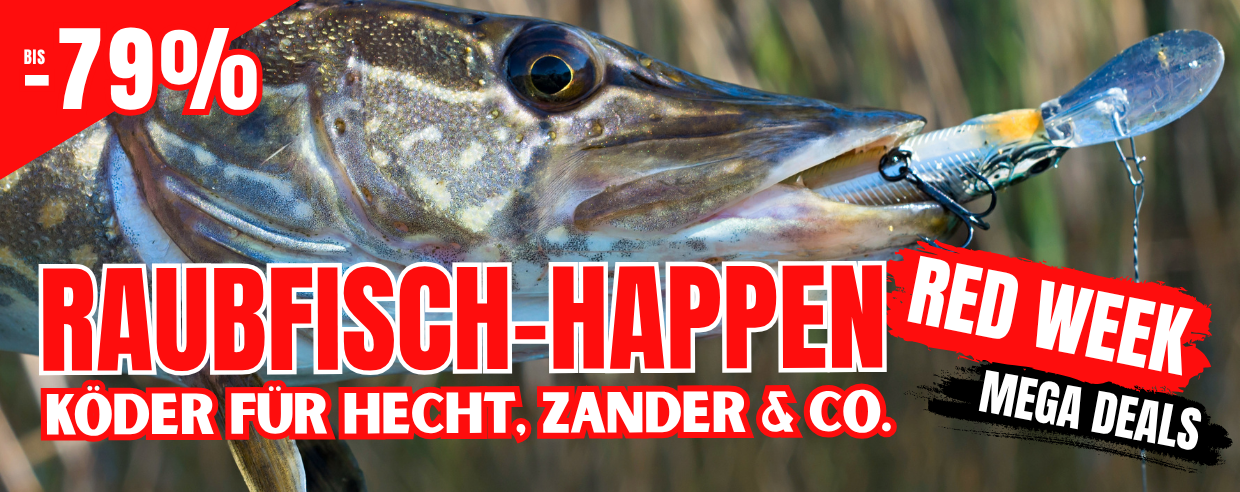 Raubfisch, Happen, Köder, Angeln, Meeresfisch
