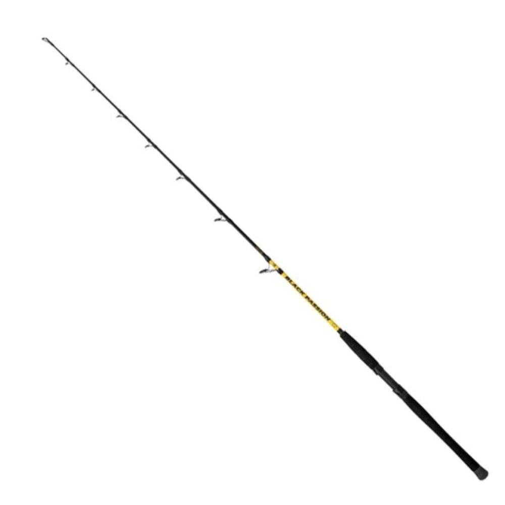 Black Cat Black Passion G2 Vertical 180 cm 240g 1-piece Fischen, Draußen, Wasser, Angler, Person