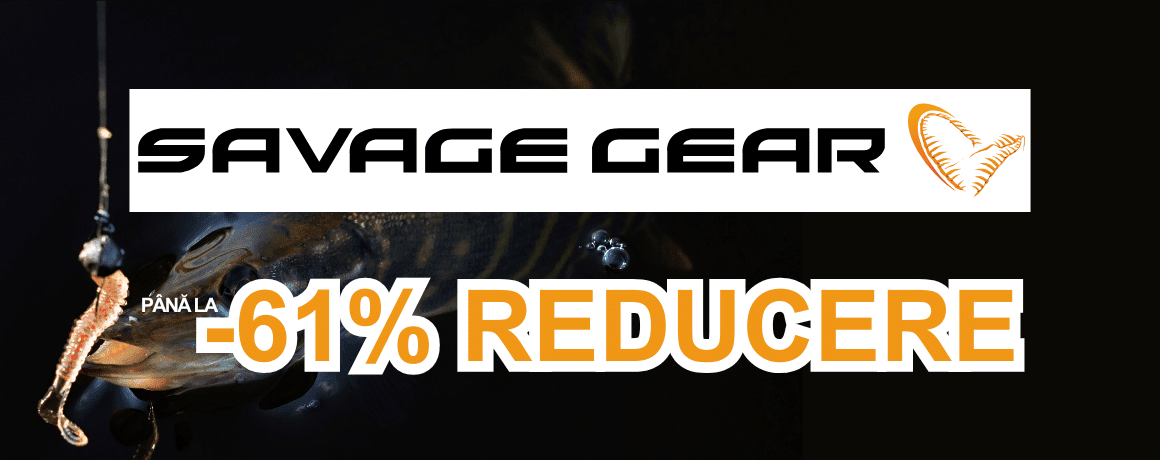 Tier, Leben im Meer, Fische