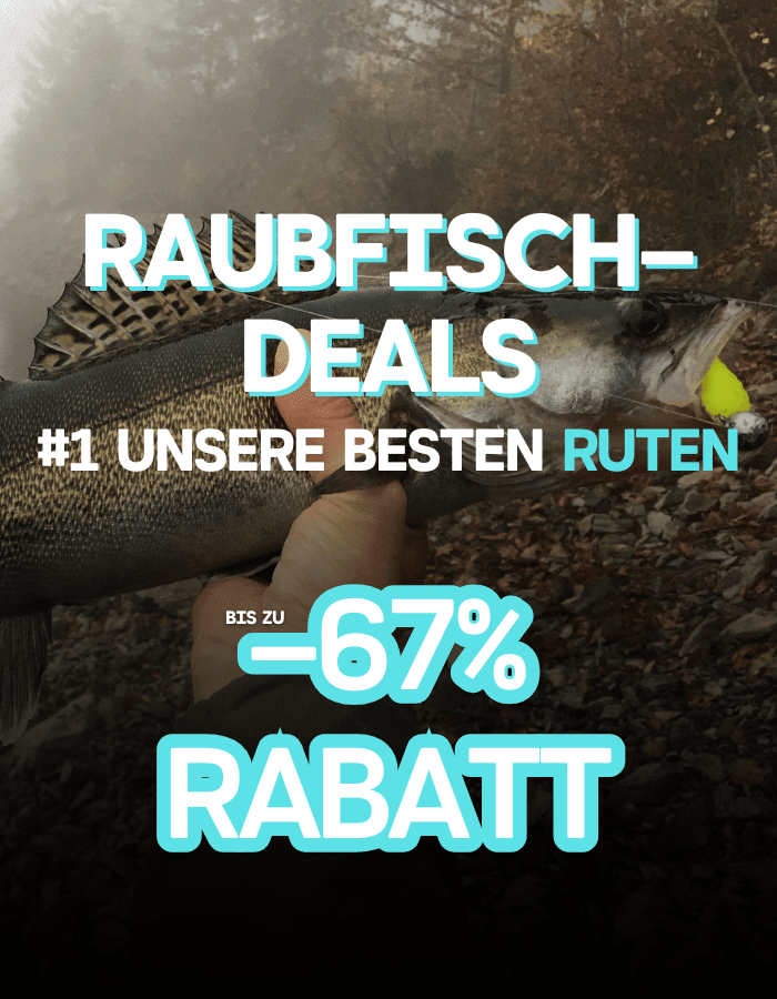 Tier, Leben im Meer, Fische