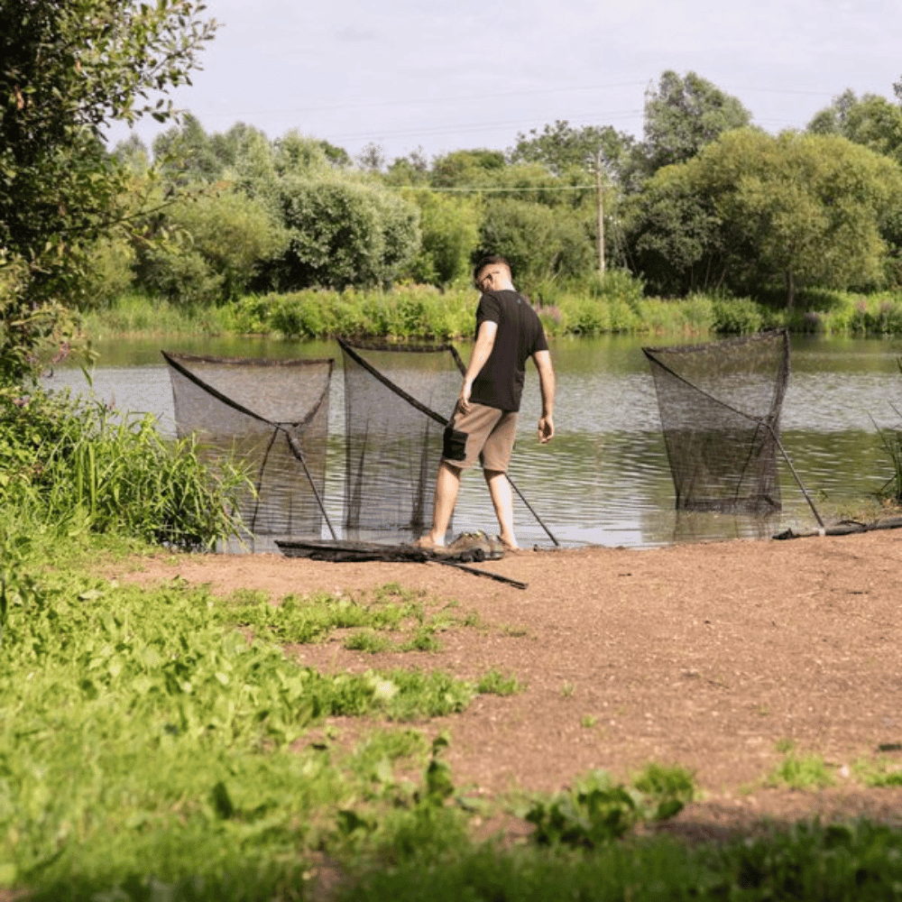Gehen, Kurze Hose, Gras, Szenerie, Vegetation