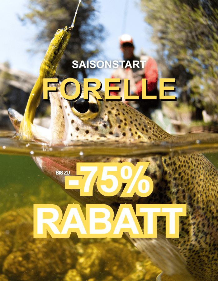 fishing, forelle, regenbogenforelle, fisch, angel