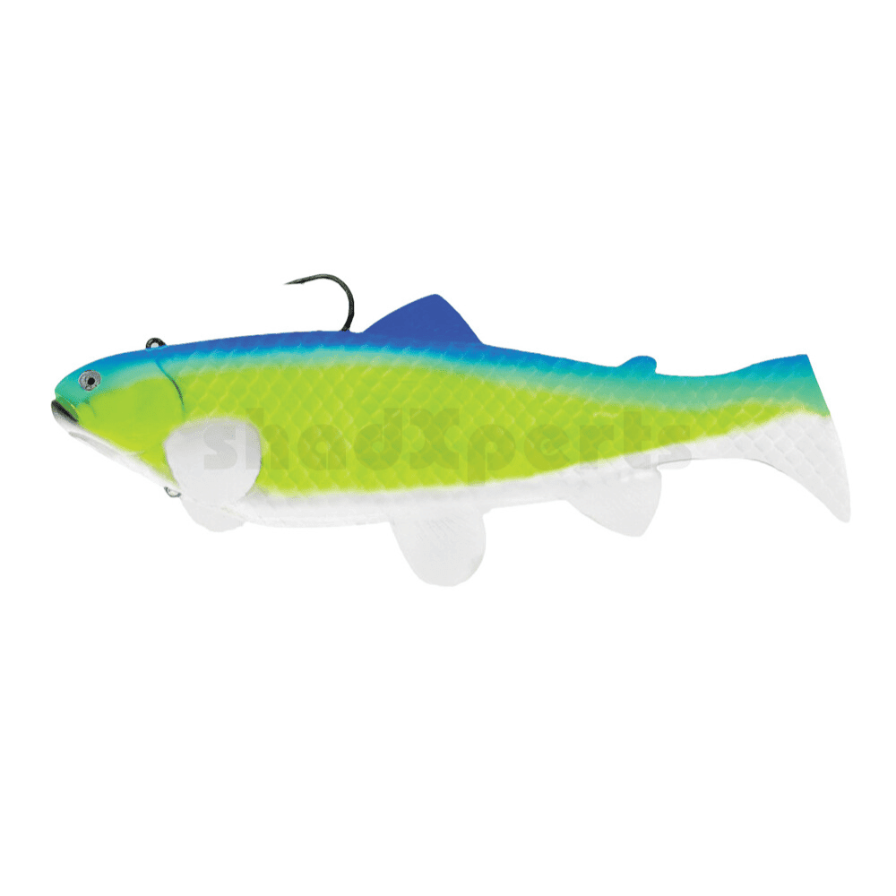 Tier, Fische, Leben im Meer