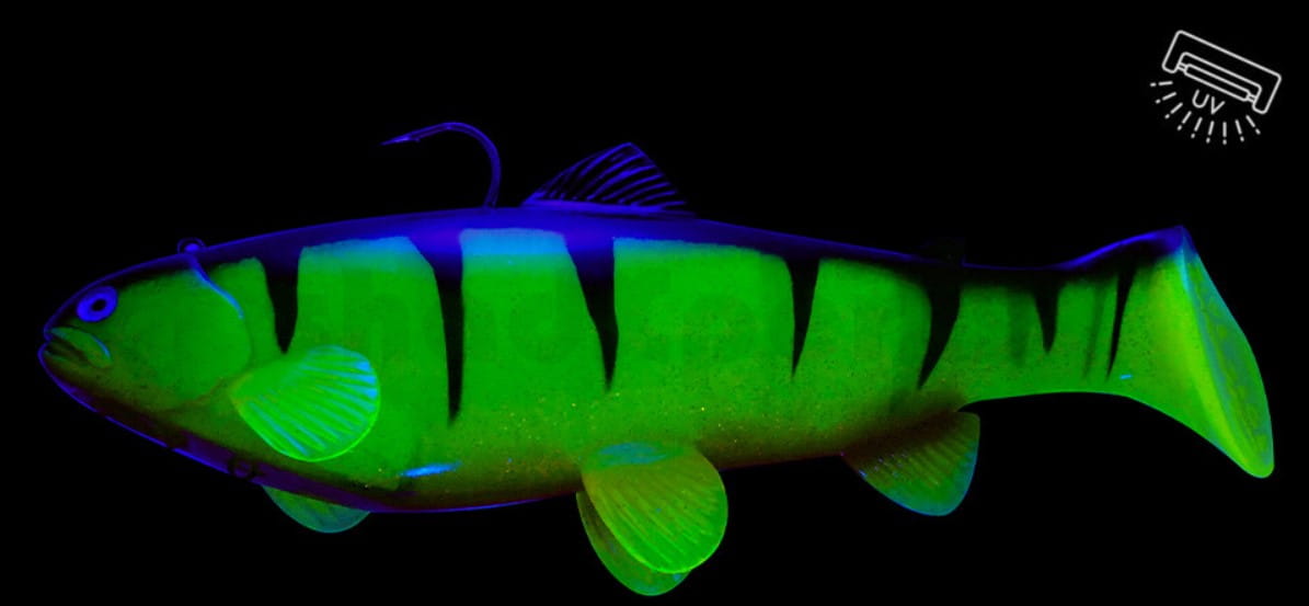 Tier, Fische, Leben im Meer