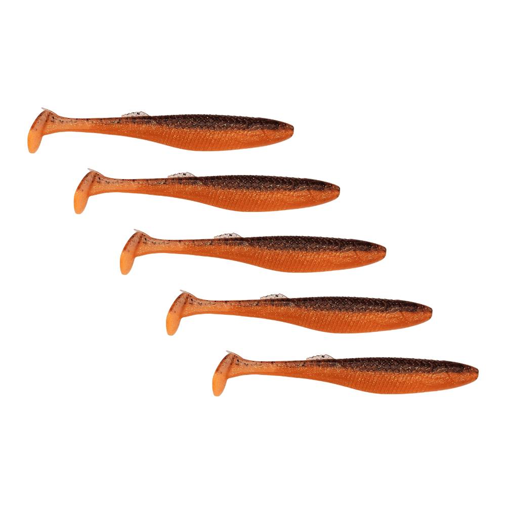 Tier, Fische, Hering, Leben im Meer