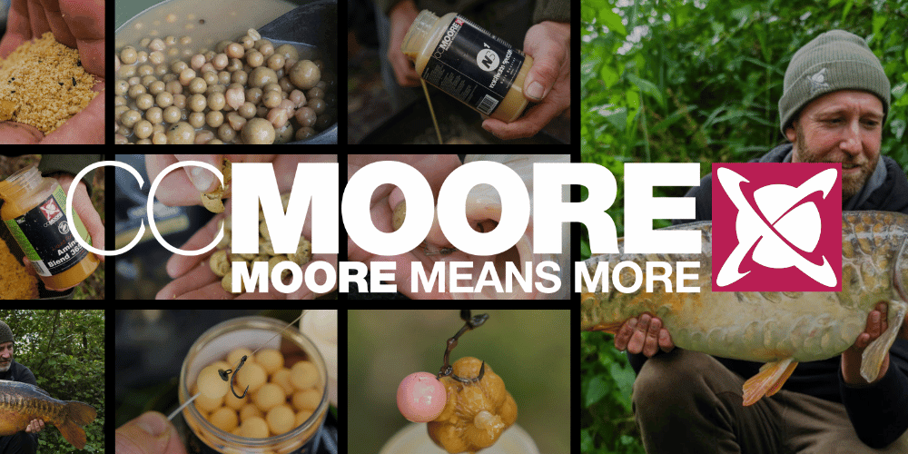 Person, Tier, Fische, Leben im Meer, Gesicht