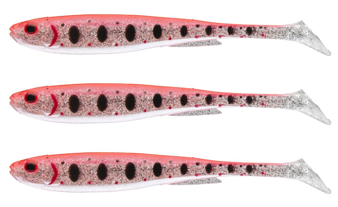 Tier, Fische, Leben im Meer