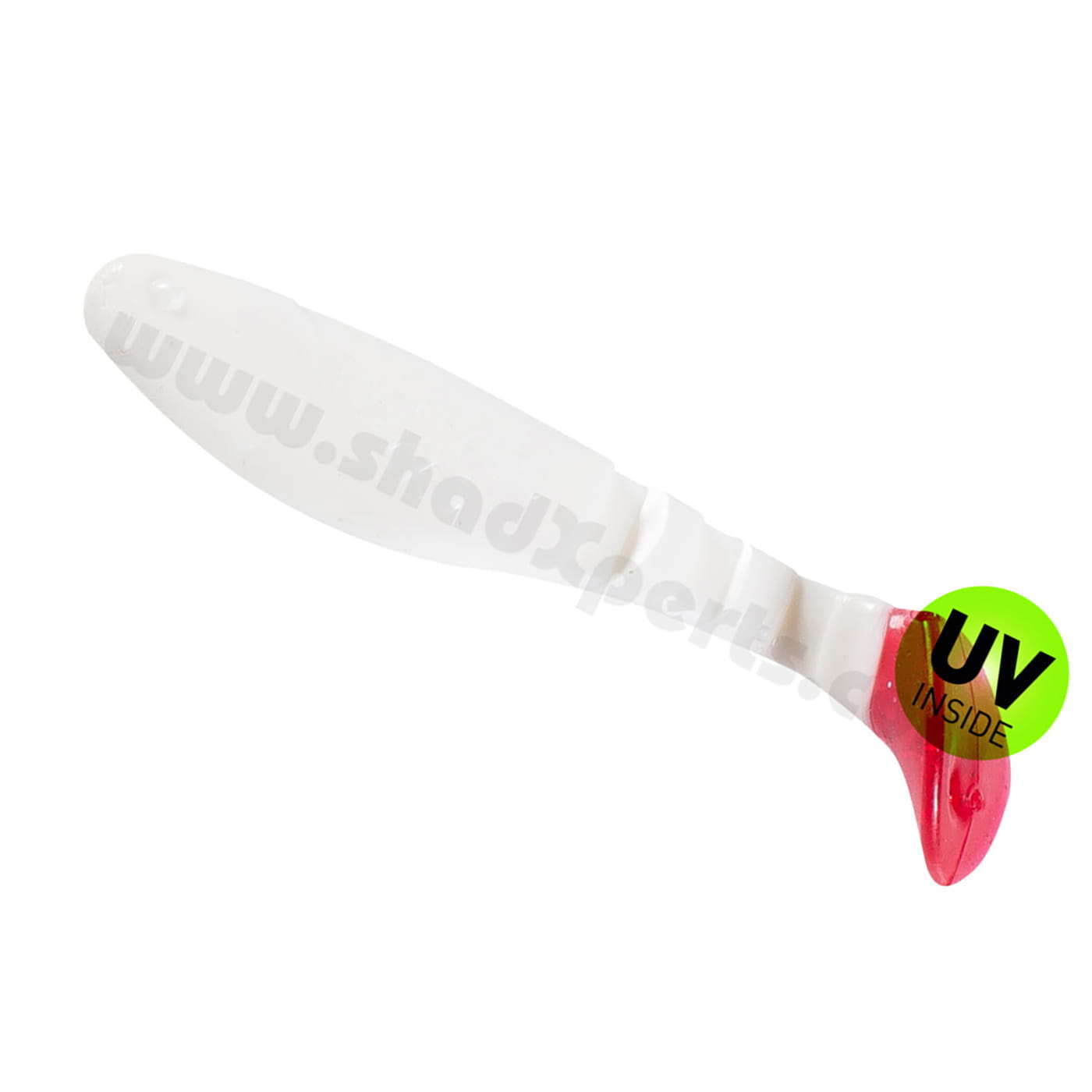 0002080001rt_8cm_reinweiss-red-tail reinweiß / red tail