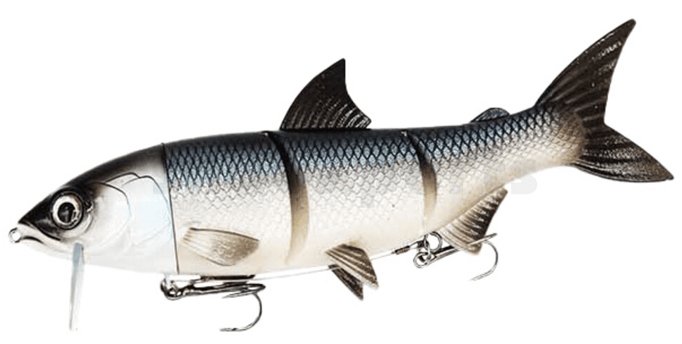 RenkyOne 30cm (12") 480g Langzaam Zinkende Witte Vis Fische, Meerbarbenfisch, Leben im Meer, Meeresfrüchte, Hai