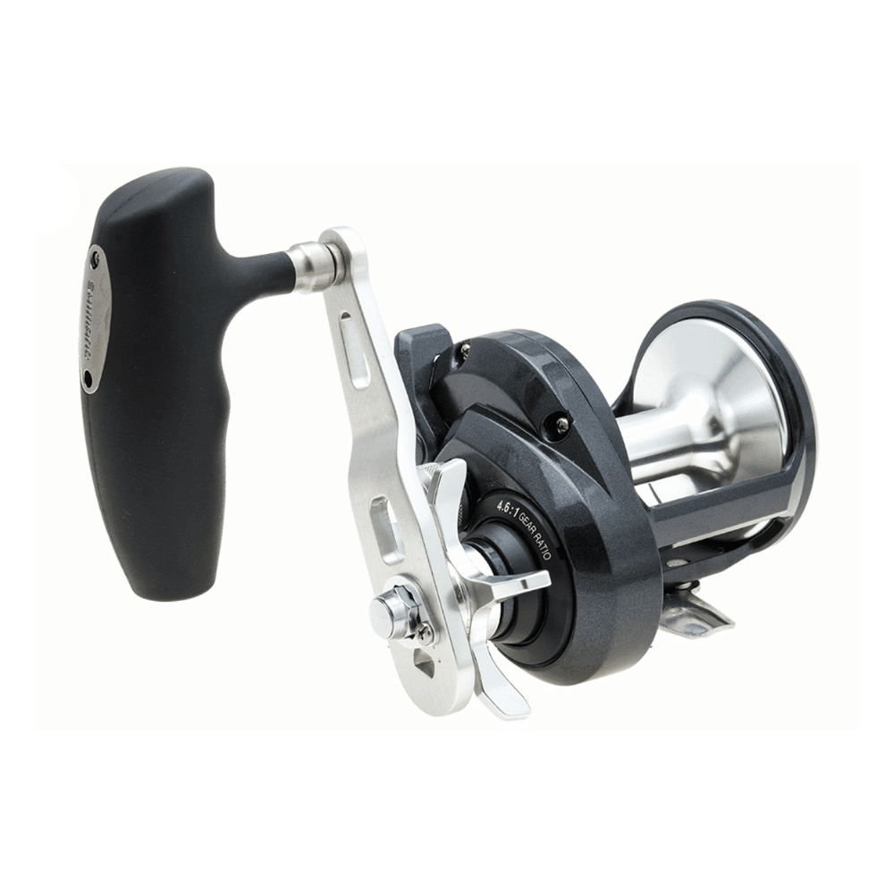 Shimano Torium 16 PG A Rolle