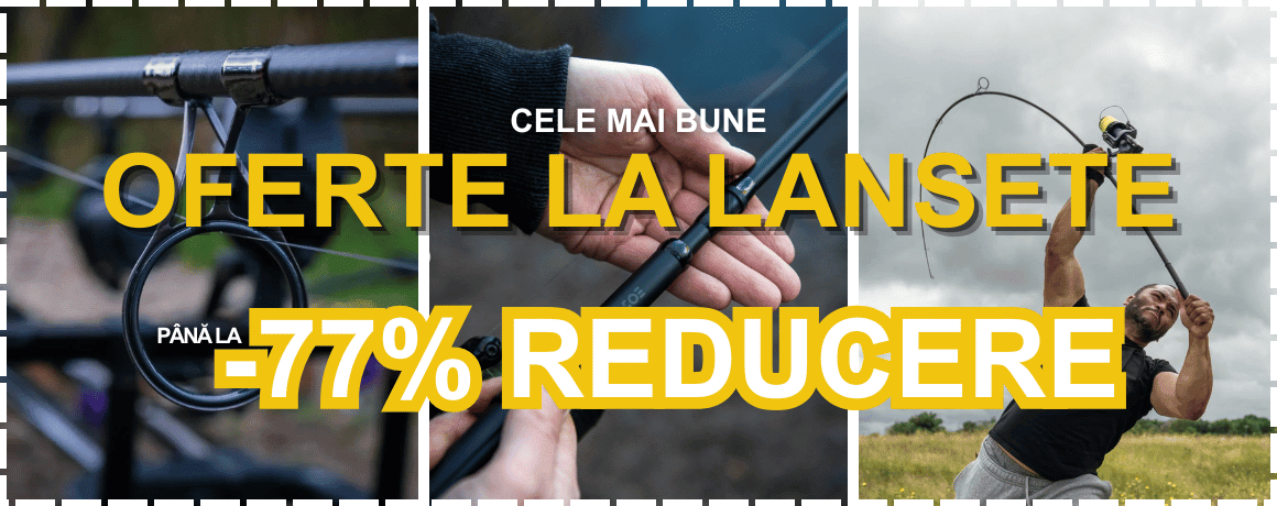 Fischen, Erwachsener, Männlich, Mann, Person