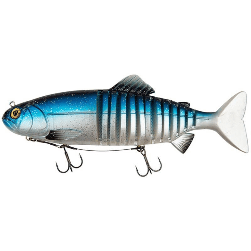 Tier, Fische, Leben im Meer