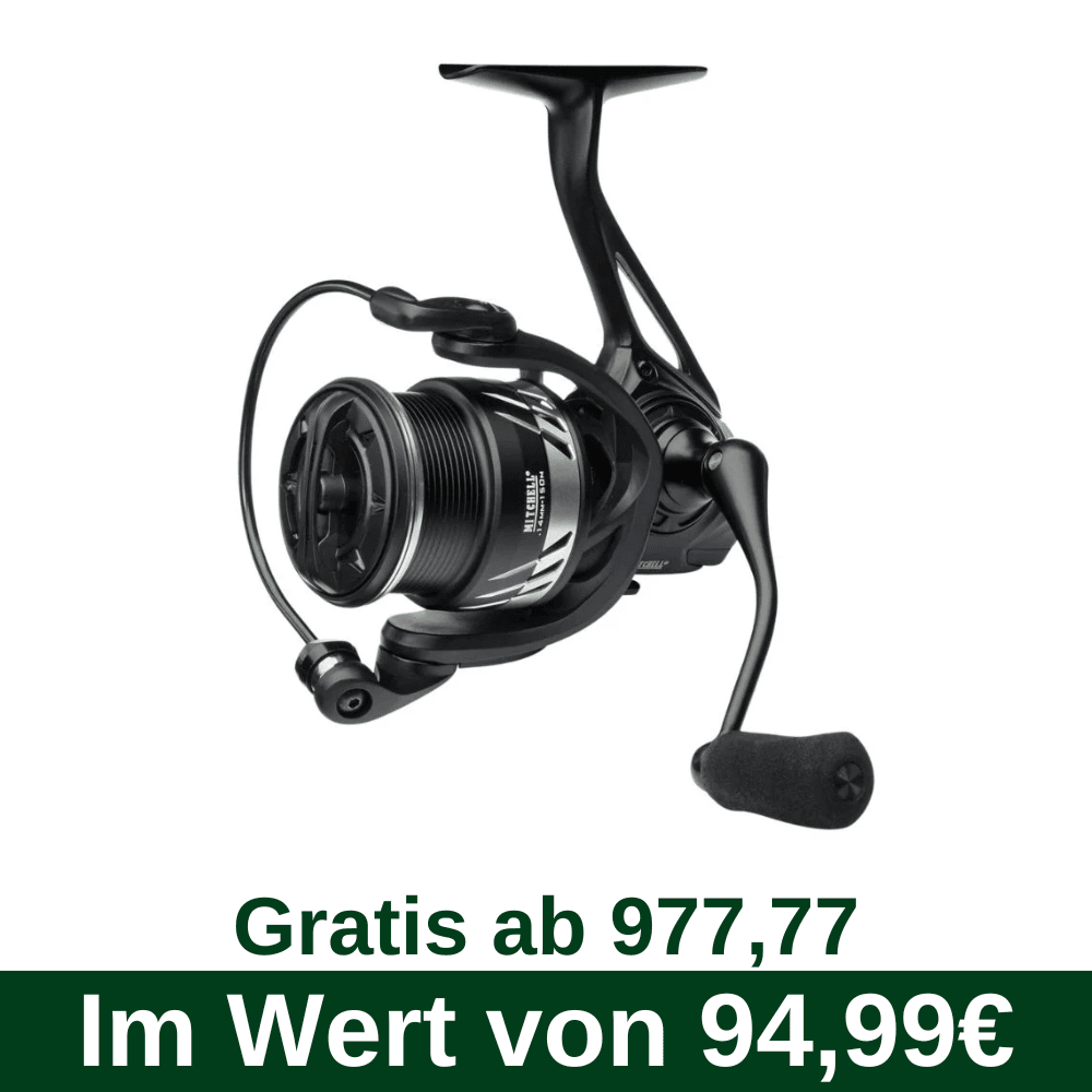 G88 Gratis od 977,77 - Mitchell MX 5 2500S (PF1570786) Rolle, Elektronik, Kopfhörer, Kamera