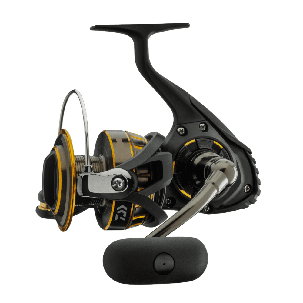 Daiwa BG 3500 SW Rolle